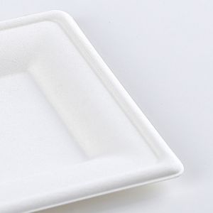 Disposable Dinnerware Set, Compostable Plant Based Cutlery Eco-Friendly