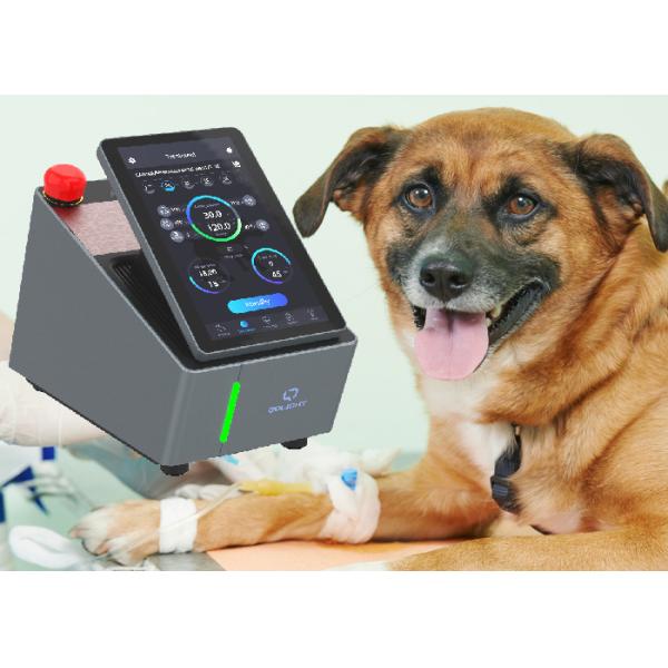 Buy 10min Veterinary Laser Therapy Machine 915nm Equine Laser Therapy Equipment at wholesale prices