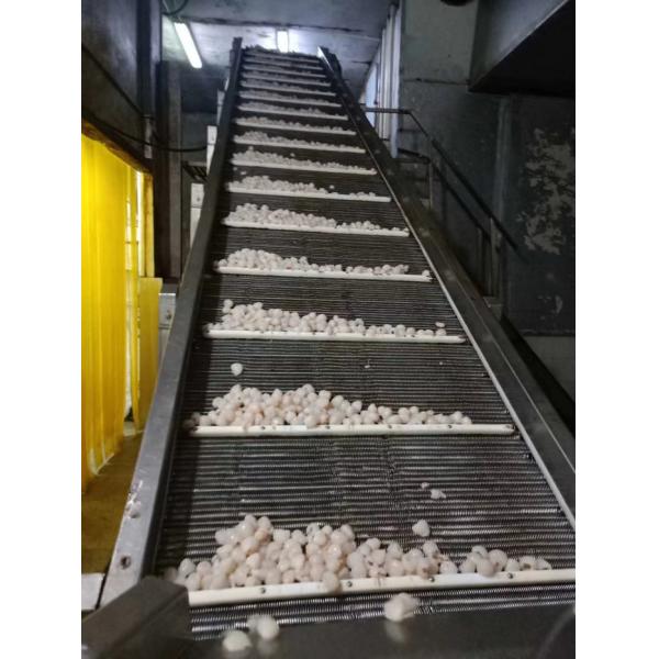 Crop Fresh Iqf Frozen Lychee Whole