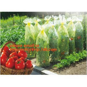Transparent Low Tunnel Film Perforated For Culture Of Seedling Maturing