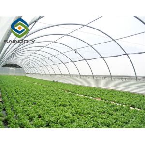 1.5m Plastic Shed Single Tunnel Greenhouse For Vegetables