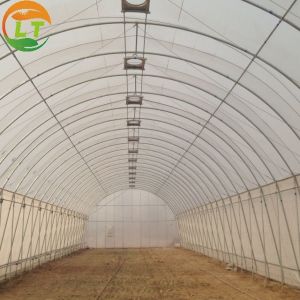Plastic Shed Winter Tomato Greenhouse for Crops Width Defined by Area
