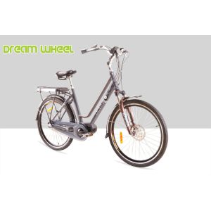 250W 36V Urban City Electric Bike 7.8Ah Samsung Cells