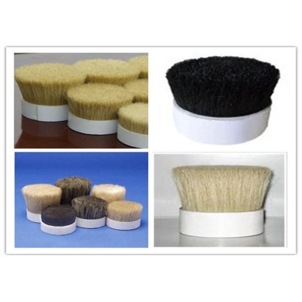 Bleached White / Dyed color Boiled Pig Bristle Animal Hair For Artist Brush Painting Brush