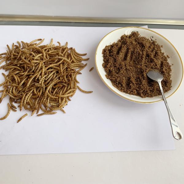 Raw Material Dried Mealworm Mealworm Protein Powder Mix for Benefit