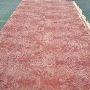 High Grade 0.30MM African Red Wood Veneer Burl Sheet for Luxury Decoration