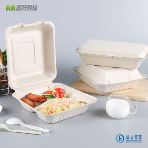 Eco-friendly Custom 3 Compartment Bagasse Disposable Bento Lunch Box