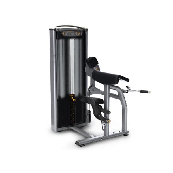 Commercial Gym Matrix Strength Training Equipment / Biceps Curl Machine