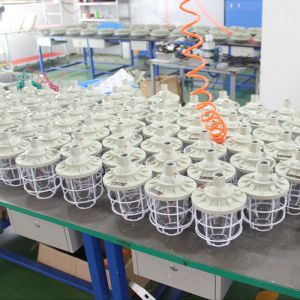 China Portable Customizable Server Explosion Proof LED Lighting 10*3Watt on sale