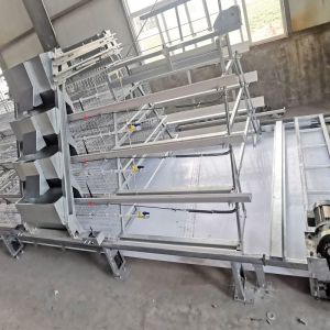 Quality One Day Old Broiler Battery Baby Chick Cage for sale