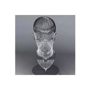 Matt Finish Stainless Steel Disappearing Sculpture