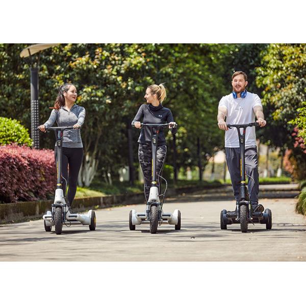Buy Structural Steel 4h Charging Stand Up Motor Scooter at wholesale prices