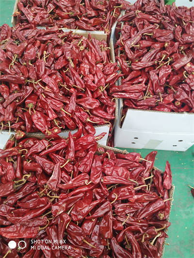 5000SHU Mild Dried Chilies Stemmed Grade A Dried Red Chile Pods