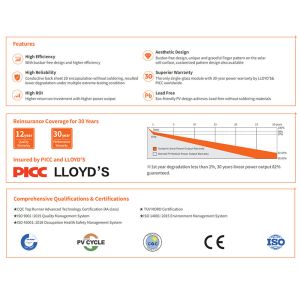 Sunport AH7H/10BB 535W-560W Monocrystalline Bifacial Solar Module