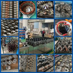 EexcavaStart 12V 160A 8600889 0124625046 0124625062 0124625187 Alternator