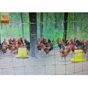 2M High Poultry Fence Netting, Plastic Poultry Netting, Transparent Color, PP