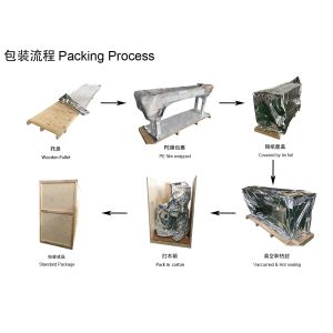 Servo Sanitary Napkin Packing Machine