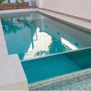 Backyard Infinity Edge Pool with Acrylic Glass View Window and 30-950mm