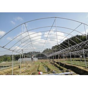 China Single Layer IGreen Multispan Plastic Film Greenhouse for Shoulder Height 1.8-2.5m on sale
