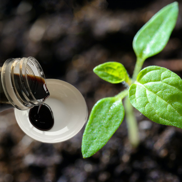 Biostimulants Amino Acid Liquid Fertilizer 30% , No Salt , No Chloride