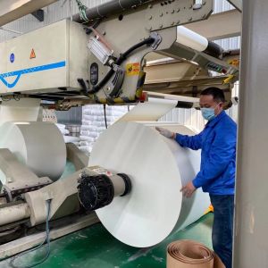160g 167g Paper Cup Making Raw Material Single Or Double PE Coated