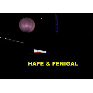 CE Balloon DMX512 Control Inflatable Lighting Decoration