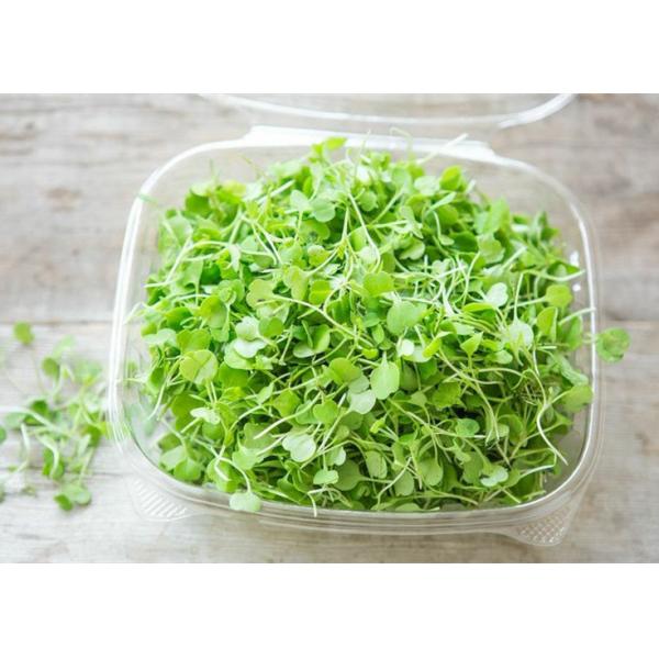 Multihead Weigher Packing Machine for Lettuce Vegetable Packaging System Traysealer Ready Tray