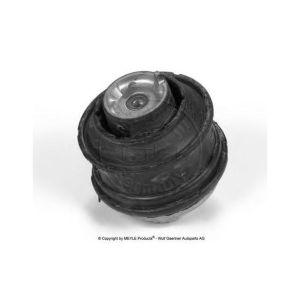 2022401917 Engine Parts Engine Mount