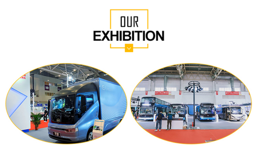 BYD Qin plus DMIi 55 km Leading Edition with 7.9s 100m Acceleration