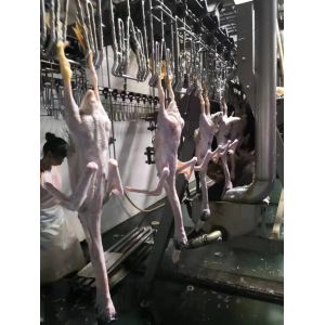 Custom Poultry Slaughtering Equipment Automatic Chicken Head Cutting Machine