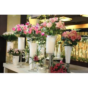 Xiamen Fusihua Imp. & Exp. Co., Ltd.