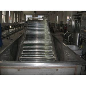 Full Automatic Fruit Processing Equipment Surfing Bubble Washing Machine