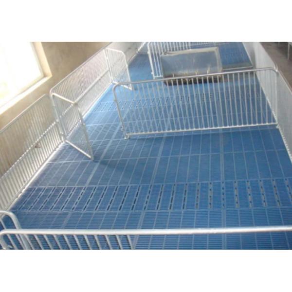 Buy Non - Slip Plastic Slat Flooring Pig Feeding Equipment Standard Openings at wholesale prices