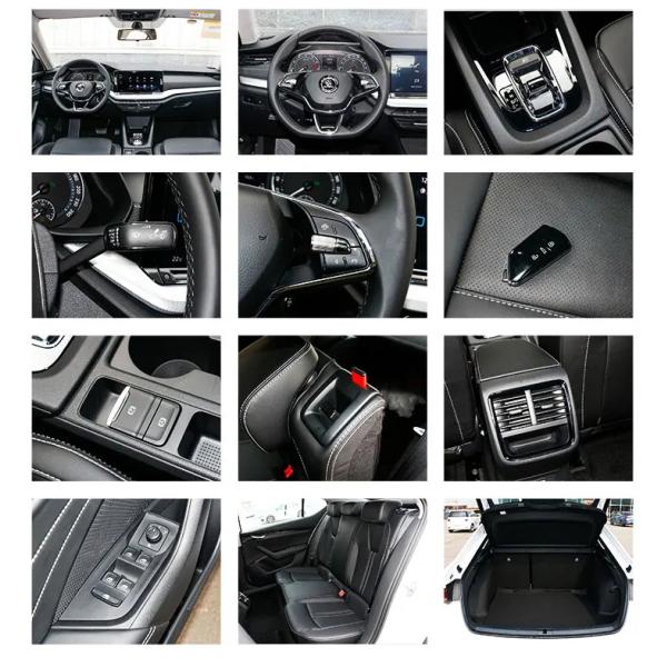 Skoda KAROQ OCTAVIA 2 3 A7 used cars in Gas Vehicle Petrol Cars 2021 2022 2023 2024