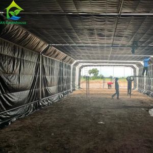 Black White Film Single Span Small Tunnel Custom Light Deprivation Greenhouse