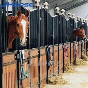 Farm Riding European Horse Stalls Custom Equine Barns 2.2m Height Assembly