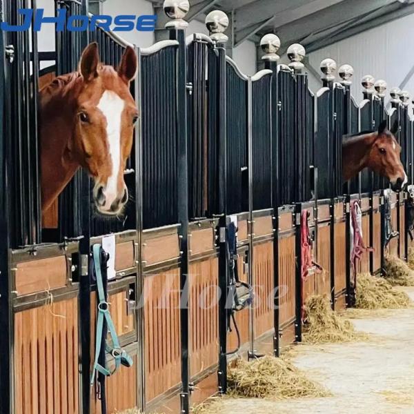 Farm Riding European Horse Stalls Custom Equine Barns 2.2m Height Assembly
