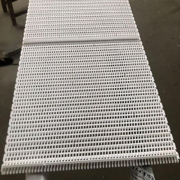 900 Plastic Conveyor Belts with 27.2mm Pitch for Cartons Processing Industry