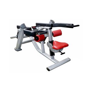 China Electrostatic Spraying 300kg Seated Tricep Dip Equipment on sale