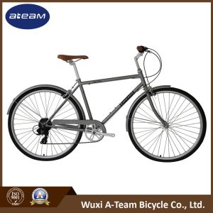 28" Steel City Bicycles