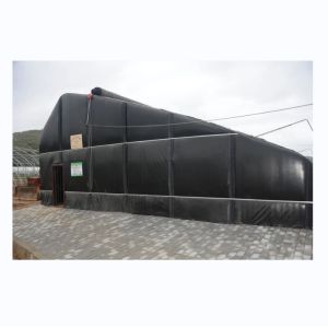 Quality Film Covered Solar Greenhouse for Sustainable Winter Cucumber Cultivation for sale