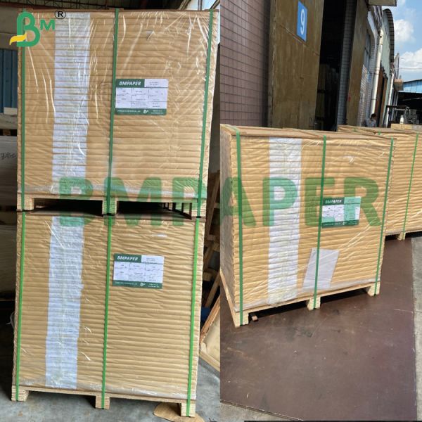 Buy Grease Resist Paperboard Lunch Box Cardboard 290gsm With PE Coating at wholesale prices