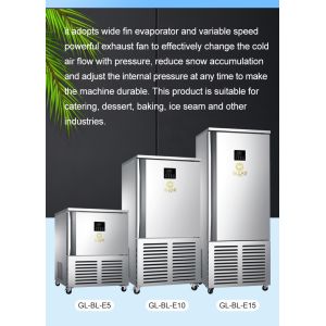 Efficient Blast Chiller Freezer Cabinets - Rapid Deep Freezing System -18 To 3