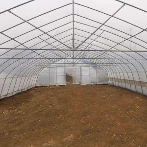 Gothic High Tunnel Vegetable Film Hydroponics Single-Span Greenhouse Constructio