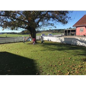 40mm Height Garden Artificial Grass Water Retention