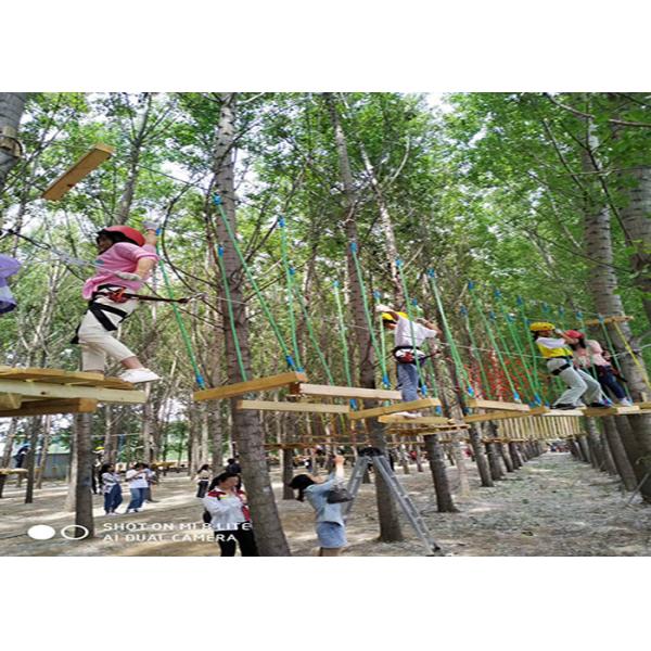 Buy Children Outdoor Playground Equipment Jungle Playground at wholesale prices