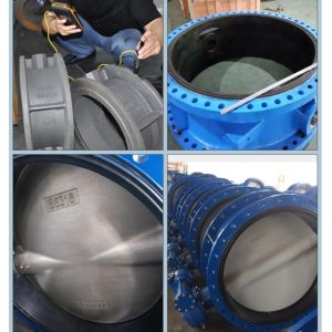 Worm Gear Actuated 150LB Flange Butterfly Valve