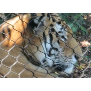 China 7x19 Flexible Stainless Steel Rope Mesh Green Wall 316L 304L on sale