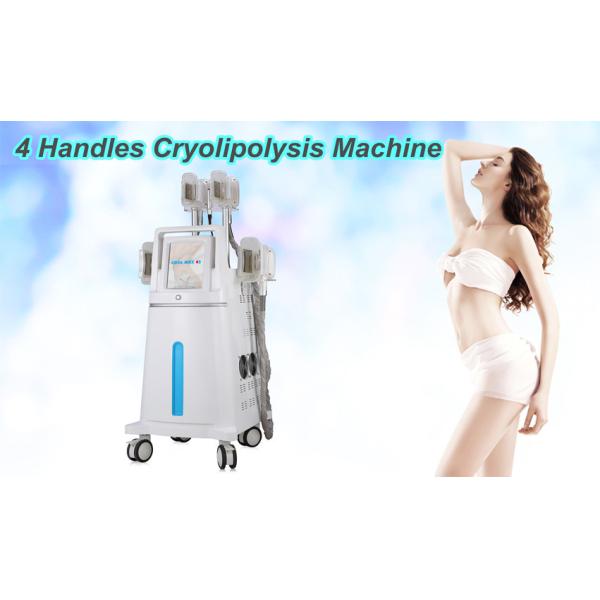 Buy Vacuum Cryolipolysis Slimming Machine / Four Handles Coolsculpting Equipment at wholesale prices