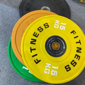Befreeman Wholesale Professional Gym Equipment Bumper Weight Plate